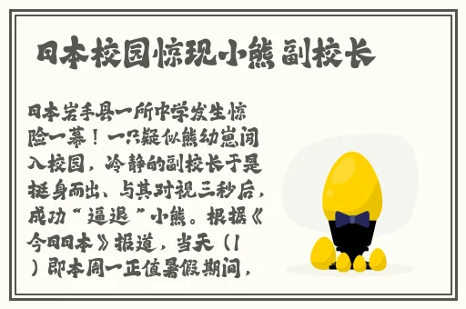 俄罗斯zoom人与zoom哪个好